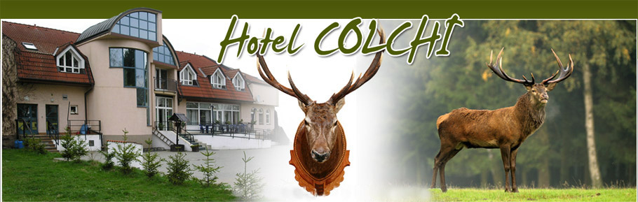Hotel Colchi
